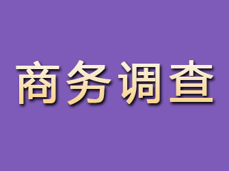 大石桥商务调查